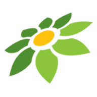 YANDEX COM